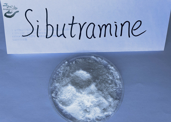 Materia prima farmacéutica Sibu CAS 106650-56-0 Polvo de sibutramina para bajar de peso