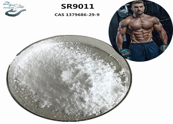 Polvo de gimnasio Suplemento de SARM culturismo SR9011 CAS 1379686-29-9 Para la construcción muscular