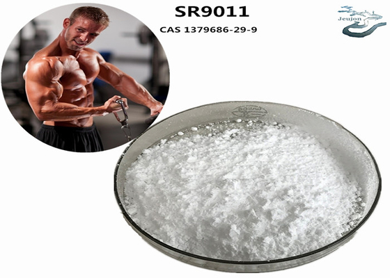 SR9011 Sarms para quemar grasa polvo de gimnasio CAS 1379686-29-9 Suplemento de culturismo