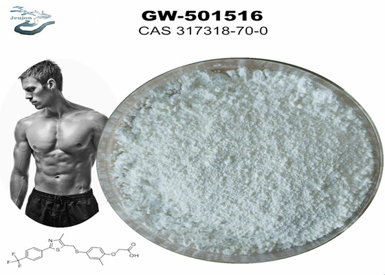 En polvo de pérdida de grasa pura SARMS GW501516 CAS 317318-70-0 en polvo de gimnasio GW501516