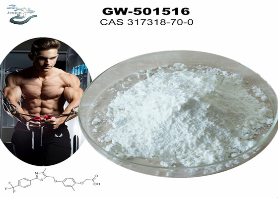GW 501516 GSK-516 Sarms Polvo de gimnasio para culturismo CAS 317318-70-0